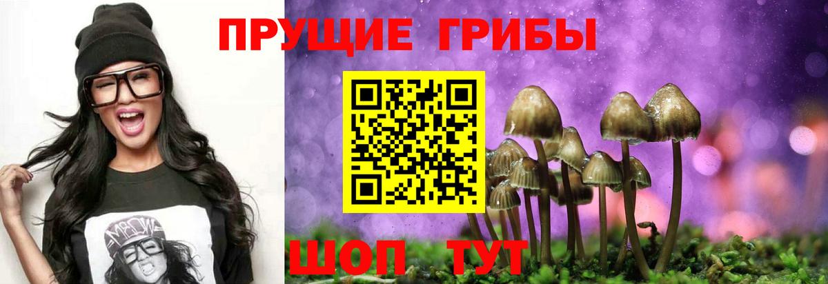 Галлюциногенные грибы Cubensis  Псилоцибиновые грибы прущие грибы  Семёнов  Вход с VPN 